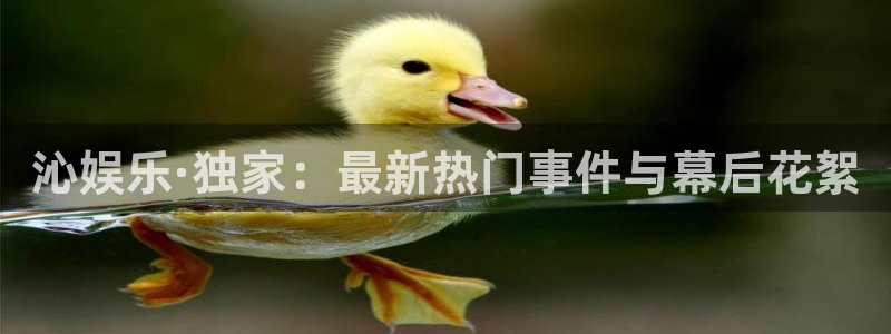 upload/20250701114914.jpg