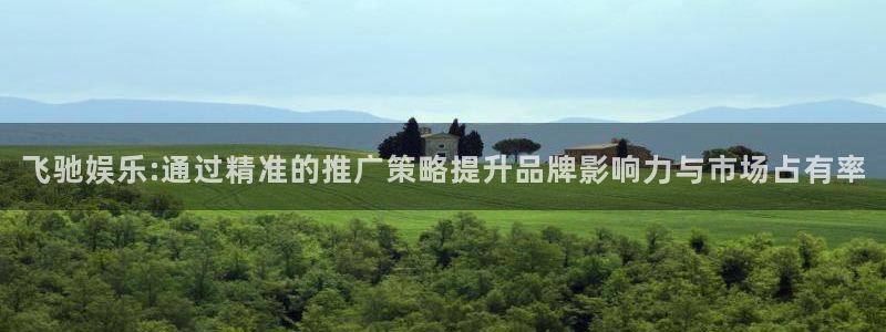银河官网购票：飞驰娱乐:通过精准的推广策略提升品牌影响力与市场占有率