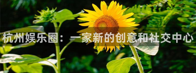 upload/20250701114914.jpg
